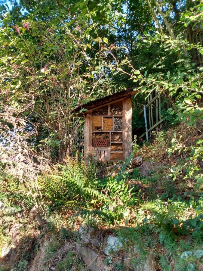 Natuerlich Kirchner Haus Katrin Vila Eisenach Exterior foto